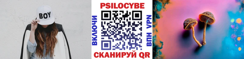 Псилоцибиновые грибы Psilocybe дарнет шоп Лукоянов